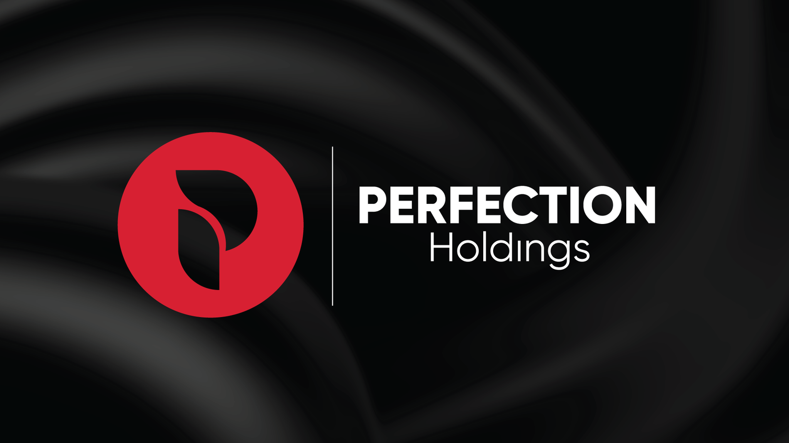 PERFECTION Holdings